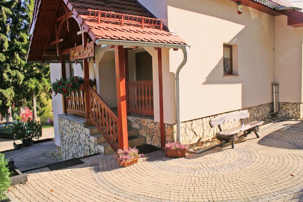 Willa Ostoja Swieradow-Zdroj Luaran gambar